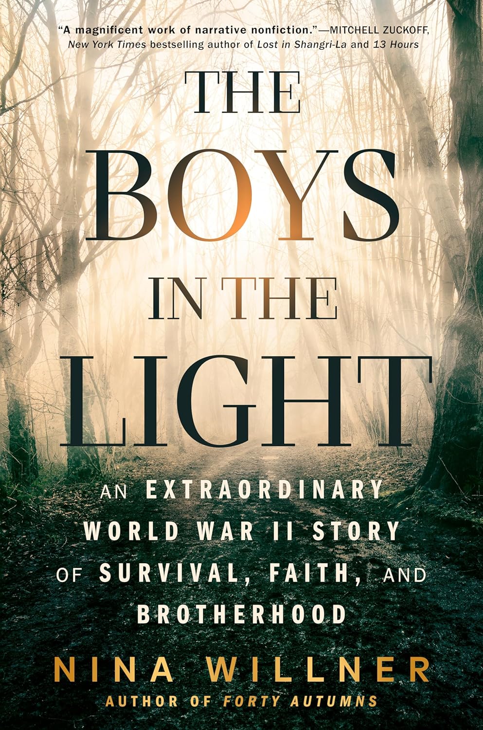 The Boys in the Light: An Extraordinary World War II Story of Survival, Faith, and Brotherhood